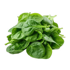Fresh Spinach Leaves: Powerhouse Vegetables. Isolated on transparent or white background
