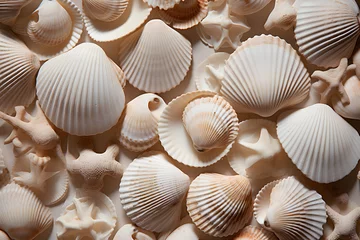 Deurstickers Neutral beige and white seashells pattern background © Kodjovi