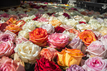 colorful flowers in the market