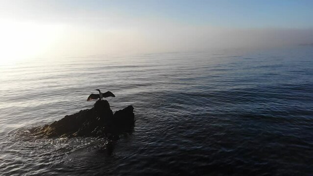 Morning sea view with cormorant bird on rock. Nature in Spain, Almeria coast.