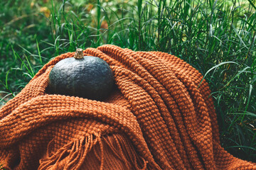 Autumn harvest mood. Green pumpkin on dark orange knitted blanket on green grass. Fall atmosphere. Thanksgiving and Halloween background.