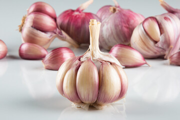 Closeup Garlic clove and bulb isolated on white background.