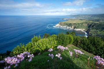 Santa Iria viewpoint in the northern part of the island of Sao Miguel in the Azores  - obrazy, fototapety, plakaty