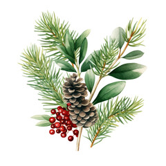 Festive watercolor pine spruce branch and red berry evergreen leaves xmas decor on white backdrop. Winter holiday celebration