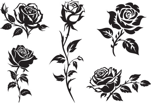 Set of three vector black silhouettes of rose flowers isolated on a white background. Minimalist hand drawn sketch. Vector stock illustration.