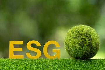 ESG concept of environmental, social and governance.ESG wooden letter and the green world on green sustainable organizational development. ​account the environment, society and corporate governance - obrazy, fototapety, plakaty