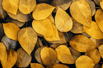 A pattern of yellow leaves