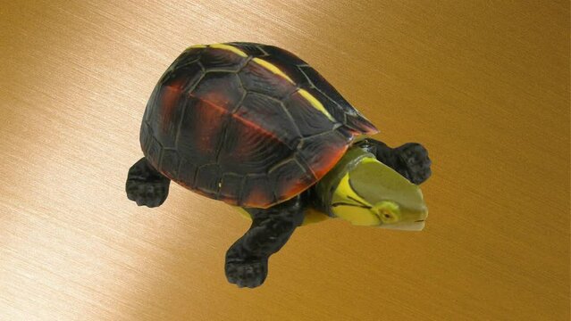real 3d turtle background and animation, animal, crawling 