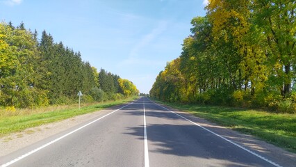 The asphalt road with markings and sandy shoulders is straight. Along the road on grass lawns grow spruce trees and various deciduous trees, on which the leaves turned yellow in the autumn. Sunny