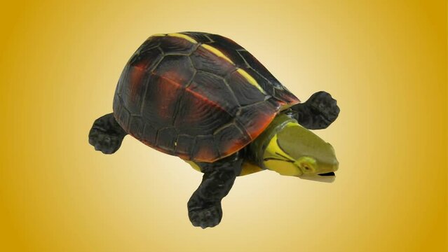real 3d turtle background and animation, animal, crawling 