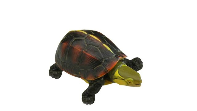 real 3d turtle background and animation, animal, crawling 