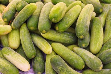 Cucumbers top view, long cucumbers, vegetables harvest, food background, place for text
