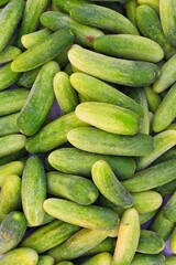 Cucumbers top view, long cucumbers, vegetables harvest, food background, place for text