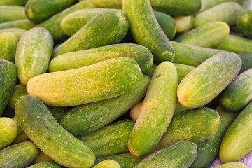 Cucumbers top view, long cucumbers, vegetables harvest, food background, place for text