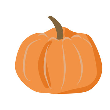 Flat Pumpkin.  Halloween pumpkin illustration.