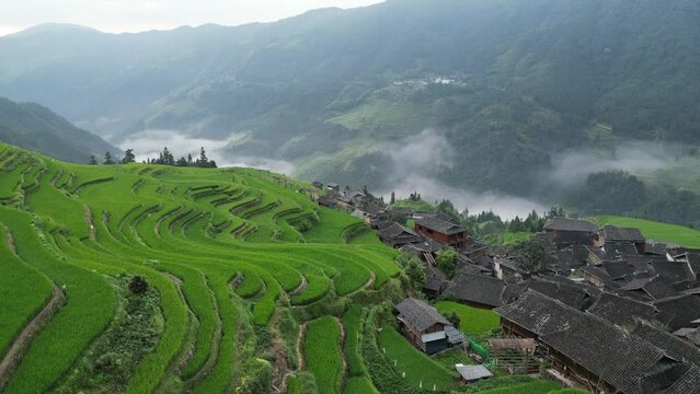 Jiabang terrace in guizhou china