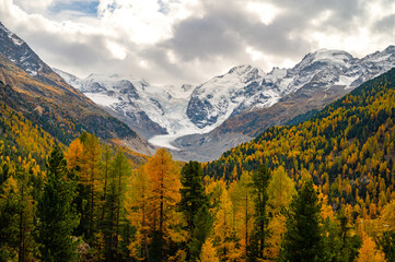 A close-up view of the Morteratsch glacier in autumn, Engadin, Switzerland.