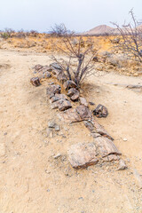 A view along the partially buried remains of a petrified tree trunk near Khorixas in Namibia during...