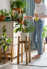 Woman sprays plants in flower pots at home. Indoor gardening. Caring for houseplants home. Interior with lots of plants.