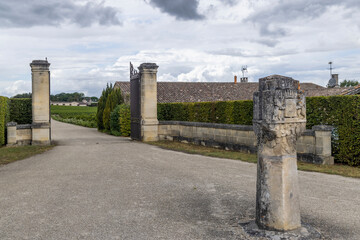 Fototapeta premium Chateau d Yquem, Sauternes, Bordeaux, Aquitaine, France
