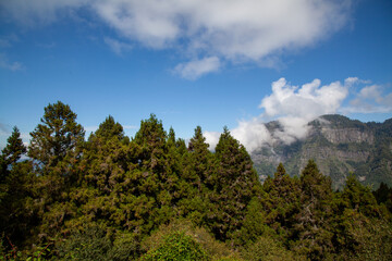 View of forest and mountain in national park in taiwan