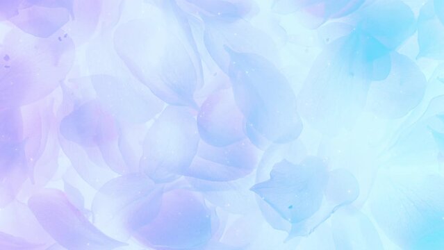 桜の花びら 花 BG109_04