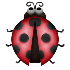 Ladybug 