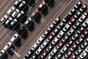 Aerial view directly above new cars ready for export