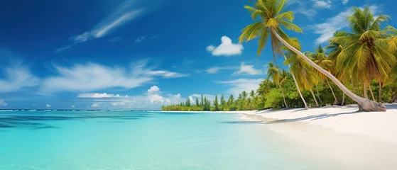 Fototapeten Bright tropical landscape with beautiful palm trees, turquoise ocean and blue sky with clouds. White sand beach on island in Maldives. © Santy Hong