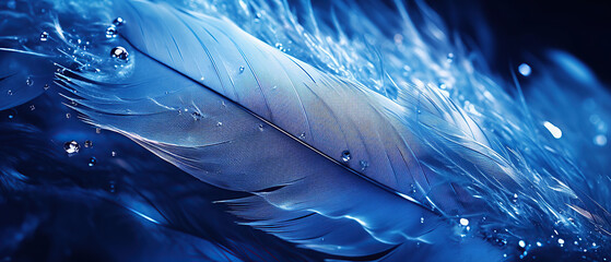 Feather of a bird in droplets of water on a dark background macro. Silhouette of a blue and white feather abstract artistic image for design.