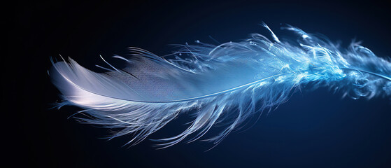 Fototapeta na wymiar Feather of a bird in droplets of water on a dark background macro. Silhouette of a blue and white feather abstract artistic image for design.