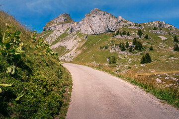 Concrete mountain road between alpine meadows and rocks, peaks of Tour de Mayen and Tour d'Ai in the background on a bright summer day. Leysin, Vaud, Switzerland