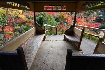 Japanese garden in autumn - Nara, Japan