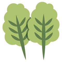 Trendy vector design of lettuce 