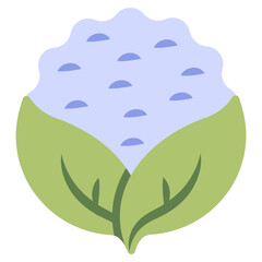 Premium download icon of cauliflower 