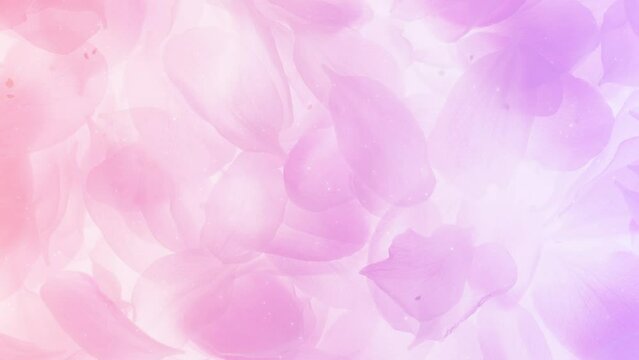桜の花びら 花 BG109_02