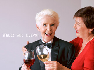 Two beautiful stylish mature senior women celebrating new year. Fun, party, style, celebration concept