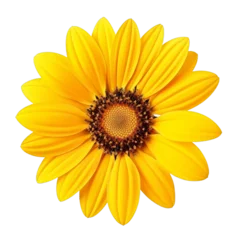 Zelfklevend Fotobehang yellow sunflower isolated © Nagehan