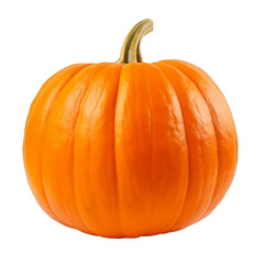 orange pumpkin isolated 