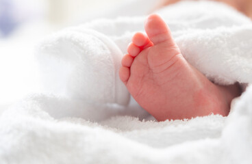 Newborn foot's first bath peek from beneath soft white towel