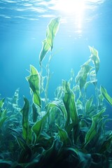 Fototapeta na wymiar Marine original vertical poster. Green algae swaying in blue sunlit water. Sea life concept. Placeholder for design, sea-themed text.