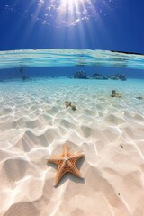 Fototapeta na wymiar beautiful large starfish on the sand. vastness, far horizon, lots of space. The undulating dividing line between water and sky. An amazing view. View from the side. Concept sea life