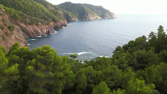 Europe, Italy, Liguria , Framura - drone aerial view of amazing sea landscape in Tigullio national park with pine forest and cliff between Framura Bonassola and Levanto pedestrian path - Cinque Terre 