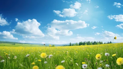 Schilderijen op glas A picturesque meadow filled with lush green grass and vibrant yellow dandelion flowers, set in a pristine natural environment under a hazy blue sky adorned with fluffy clouds. © Chingiz