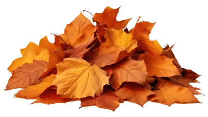 Poster A pile of autumn colorful leaves isolated on a transparent or white background, PNG © RBGallery
