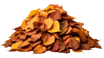 A pile of autumn colorful leaves isolated on a transparent or white background, PNG