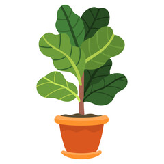 plant in a pot