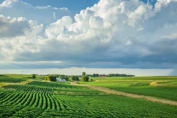 Farm and fields below dramatic clouds during summer in rural Minnesota