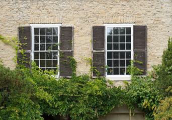 Window of old house surrounded by vines
