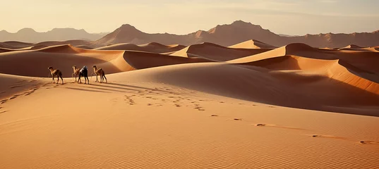 Foto op Plexiglas Safari adventure on Marokan Desert © wojciechkic.com